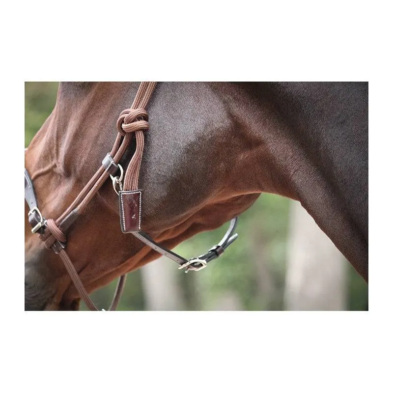 Pénélope - Ethological Halter