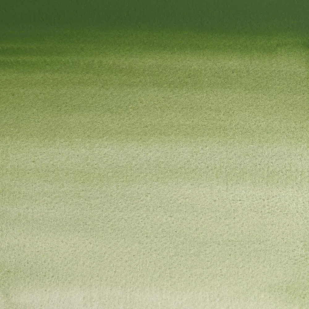 Professional Watercolour - Oxide of Chromium